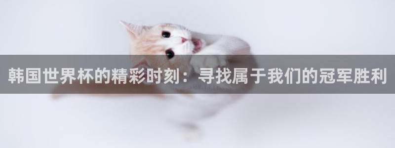 韩国世界杯的精彩时刻:寻找属于我们的冠军胜利