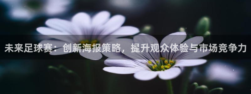未来足球赛:创新海报策略,提升观众体验与市场竞争力