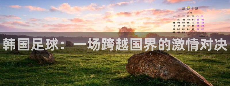 韩国足球:一场跨越国界的激情对决